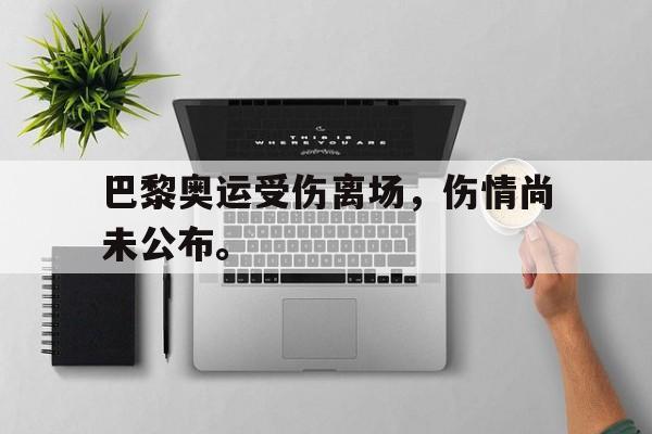 浩瀚体育电竞app-巴黎奥运受伤离场，伤情尚未公布。