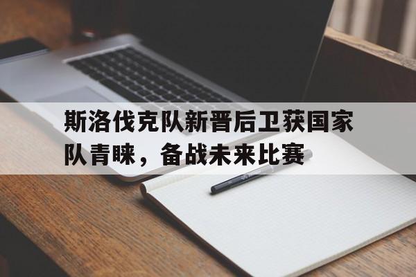 斯洛伐克队新晋后卫获国家队青睐，备战未来比赛